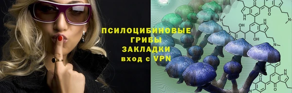 прущие грибы Пролетарск